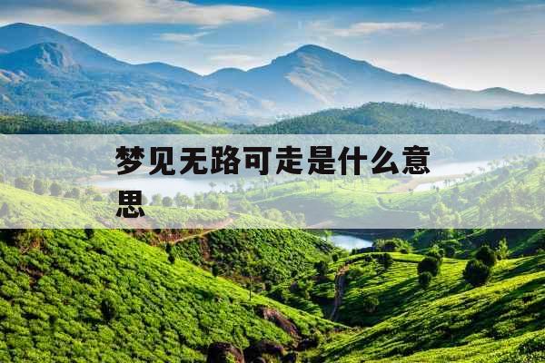 梦见无路可走是什么意思 