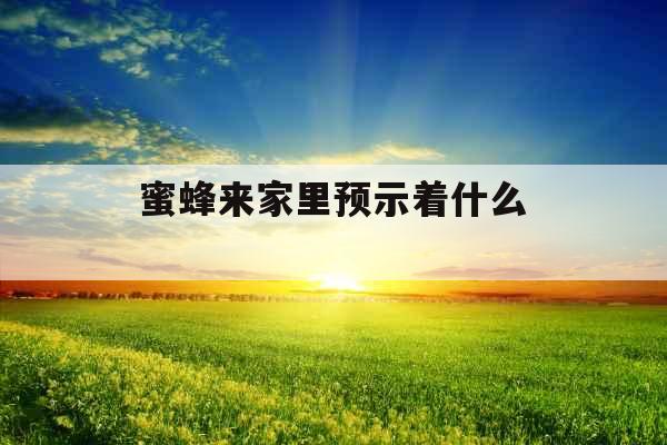 蜜蜂来家里预示着什么 