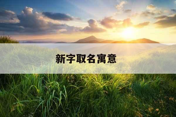 新字取名寓意 