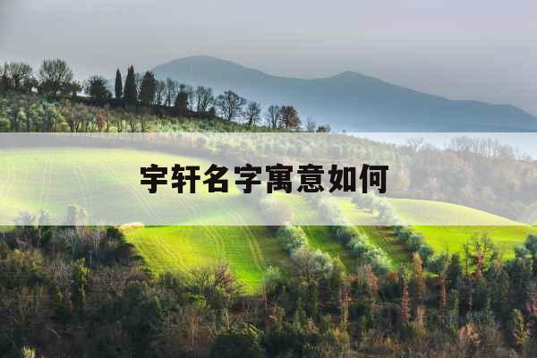 宇轩名字寓意如何 