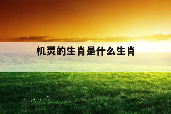 机灵的生肖是什么生肖 