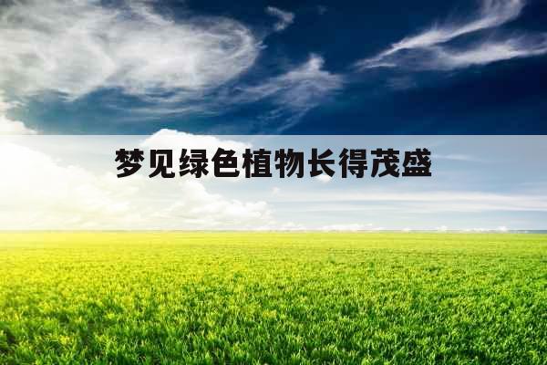 梦见绿色植物长得茂盛 