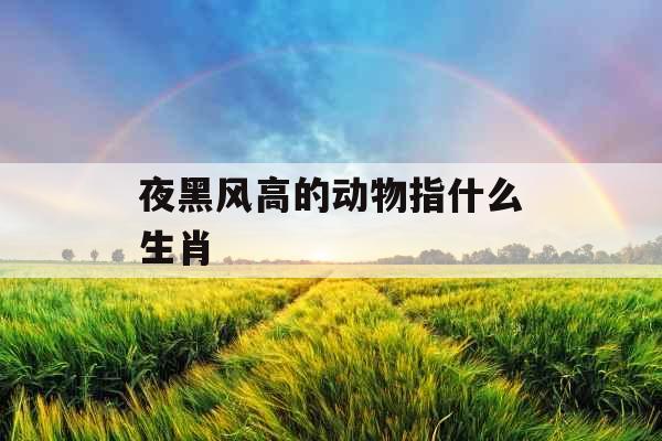 夜黑风高的动物指什么生肖 夜黑风高的动物指什么生肖