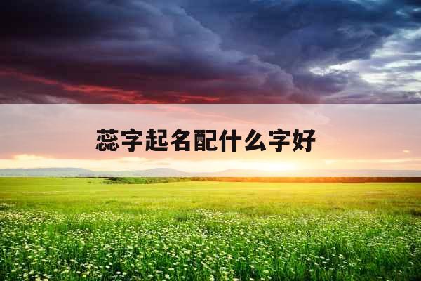 蕊字起名配什么字好 