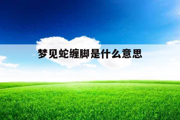 梦见蛇缠脚是什么意思 