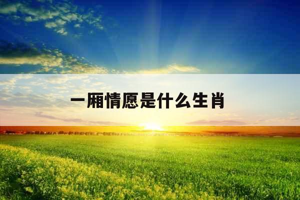 一厢情愿是什么生肖 