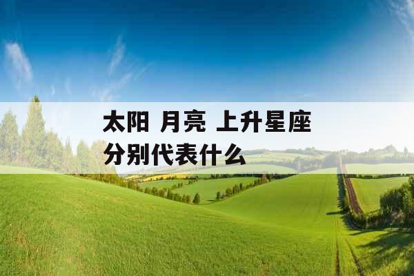 太阳 月亮 上升星座分别代表什么 