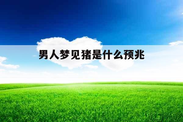 男人梦见猪是什么预兆 