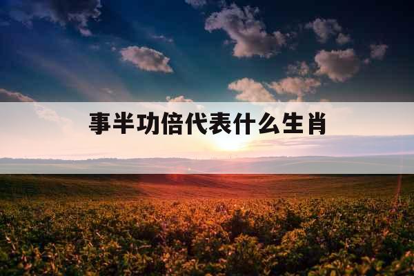 事半功倍代表什么生肖 