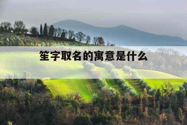 笙字取名的寓意是什么 