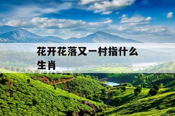花开花落又一村指什么生肖 