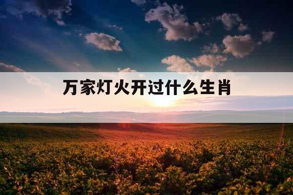 万家灯火开过什么生肖 