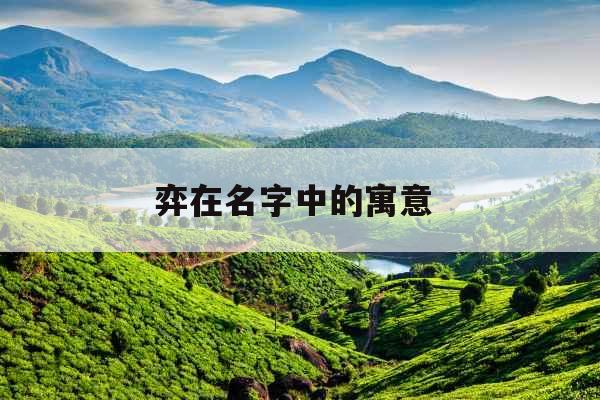 弈在名字中的寓意 