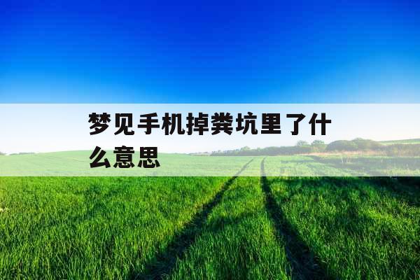 梦见手机掉粪坑里了什么意思 