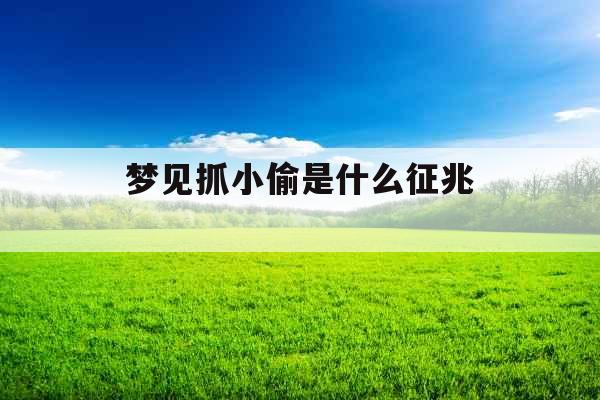 梦见抓小偷是什么征兆 