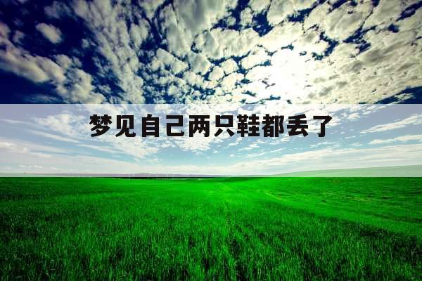 梦见自己两只鞋都丢了 