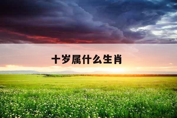 十岁属什么生肖 