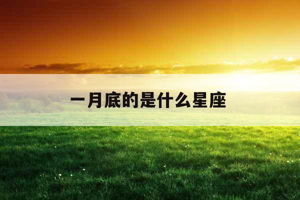 一月底的是什么星座 