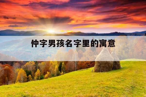 仲字男孩名字里的寓意 
