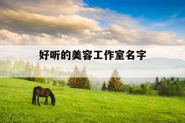 好听的美容工作室名字 