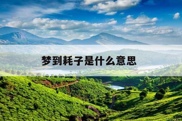 梦到耗子是什么意思 