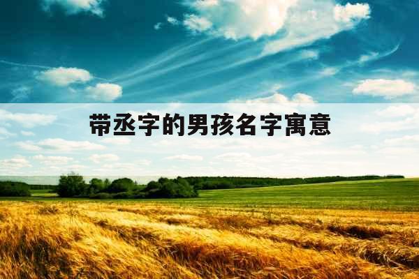 带丞字的男孩名字寓意 