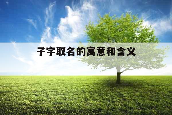 子字取名的寓意和含义 