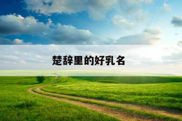 楚辞里的好乳名 