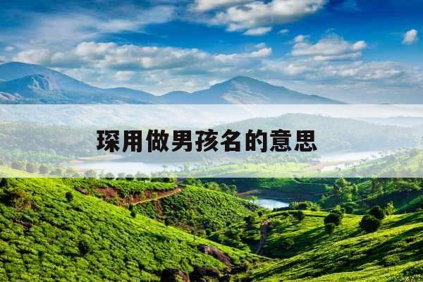 琛用做男孩名的意思 