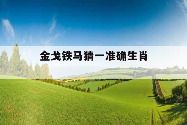 金戈铁马猜一准确生肖 