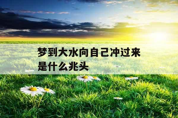 梦到大水向自己冲过来是什么兆头 