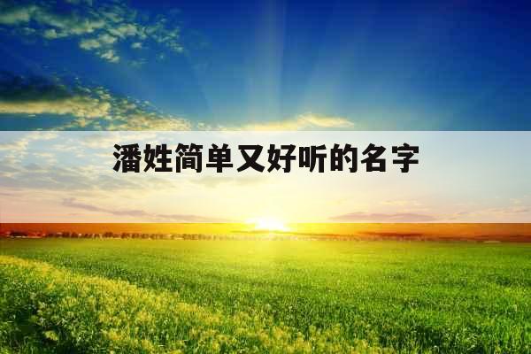 潘姓简单又好听的名字 