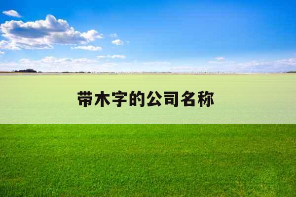 带木字的公司名称 