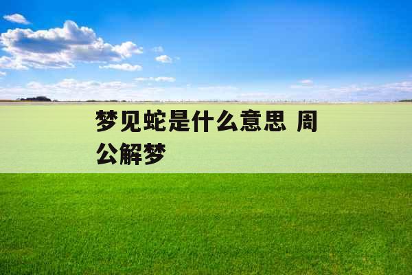 梦见蛇是什么意思 周公解梦 