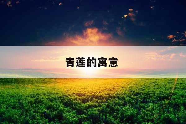 青莲的寓意  青莲的寓意