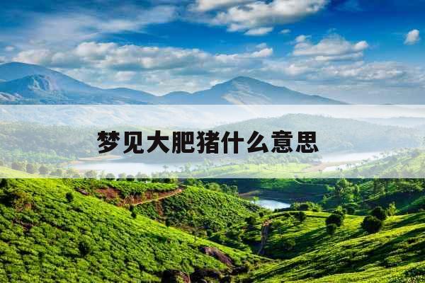 梦见大肥猪什么意思 