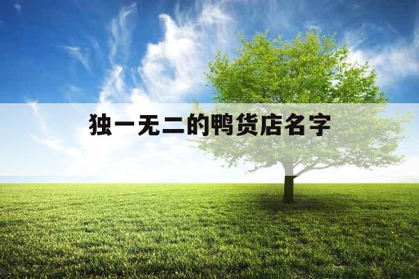独一无二的鸭货店名字  独一无二的鸭货店名字