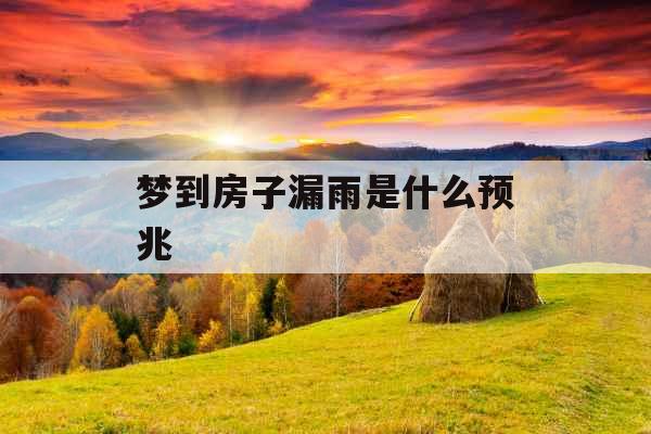 梦到房子漏雨是什么预兆 