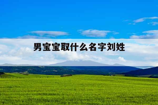 男宝宝取什么名字刘姓 