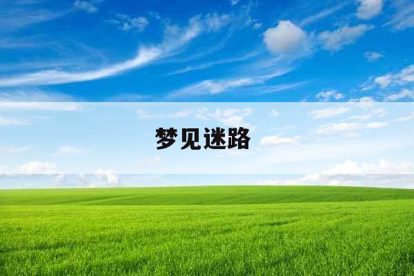 梦见迷路 