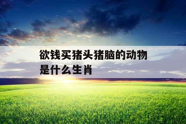 欲钱买猪头猪脑的动物是什么生肖 