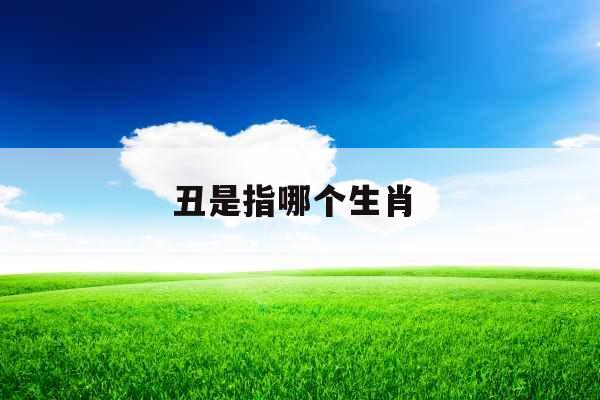 丑是指哪个生肖 