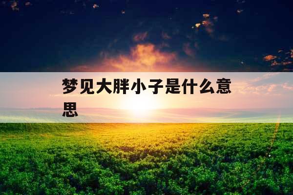 梦见大胖小子是什么意思 