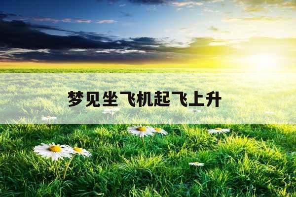 梦见坐飞机起飞上升 