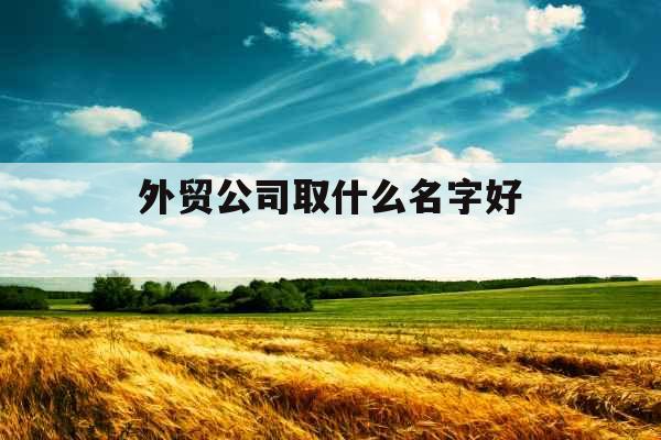 外贸公司取什么名字好 