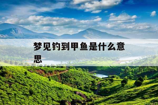 梦见钓到甲鱼是什么意思 