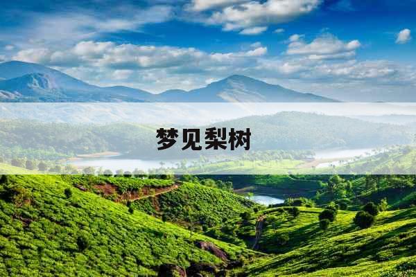 梦见梨树 梦见梨树