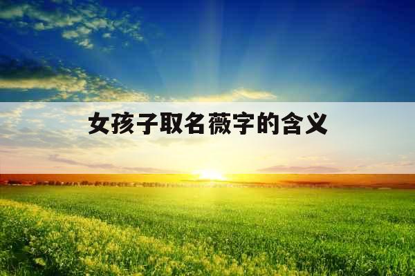 女孩子取名薇字的含义 