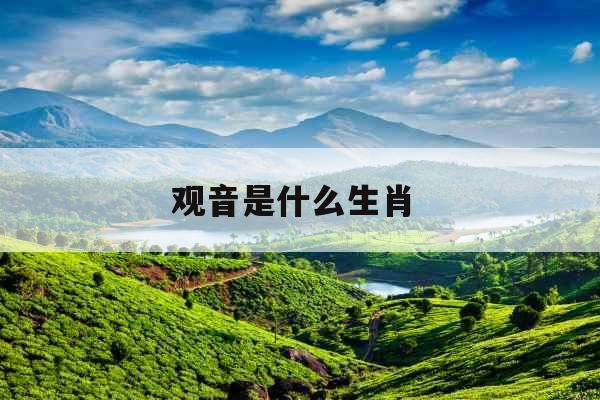 观音是什么生肖 