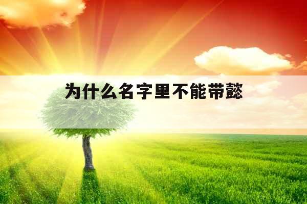 为什么名字里不能带懿 